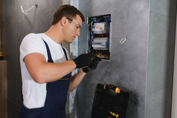 Best Commercial Electrician Services  in Palmyra, MO
