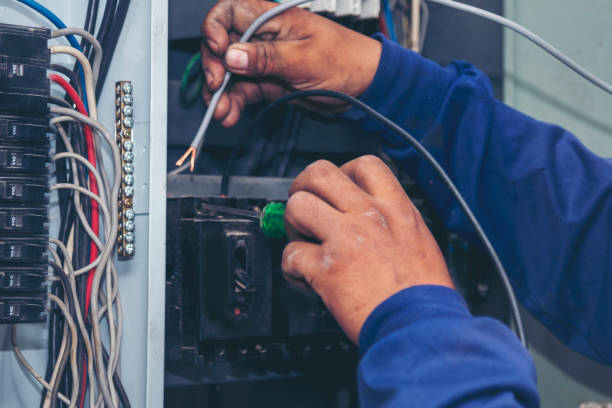 Best Home Electrical Repair  in Palmyra, MO