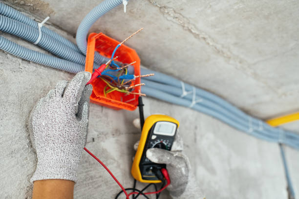Best Ceiling Fan Installation Electrician  in Palmyra, MO
